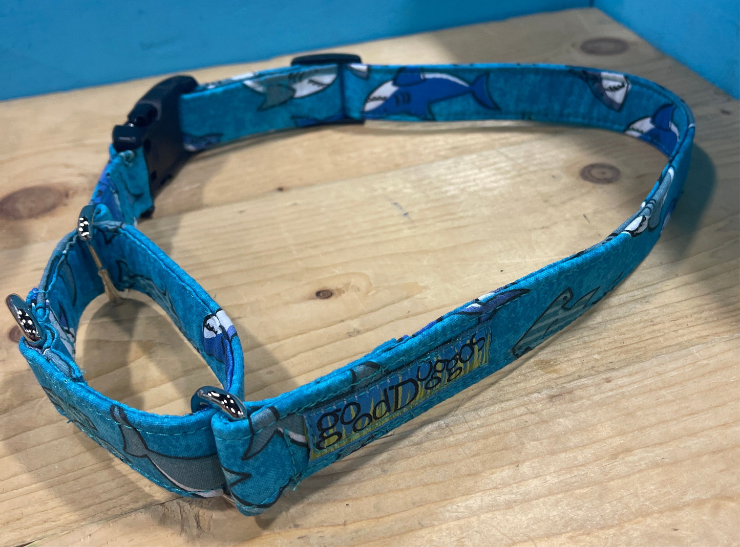 Sharks Martingale Collar