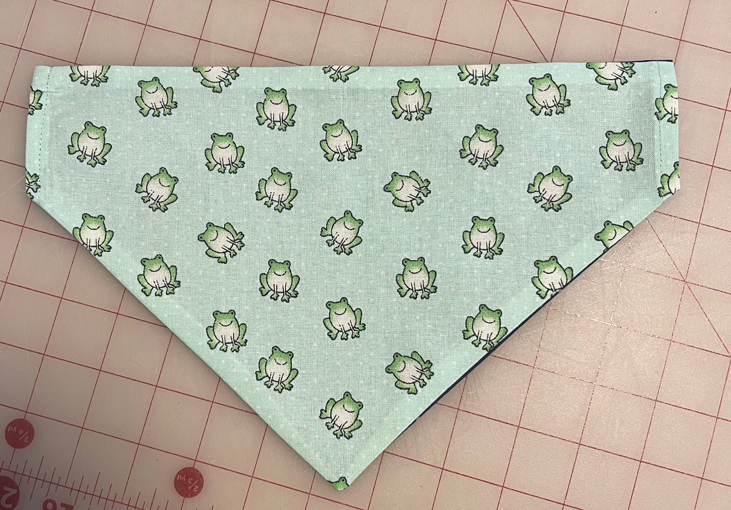 Froggies Bandana