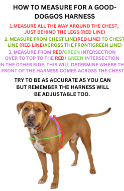 Stars and Stripes Harness