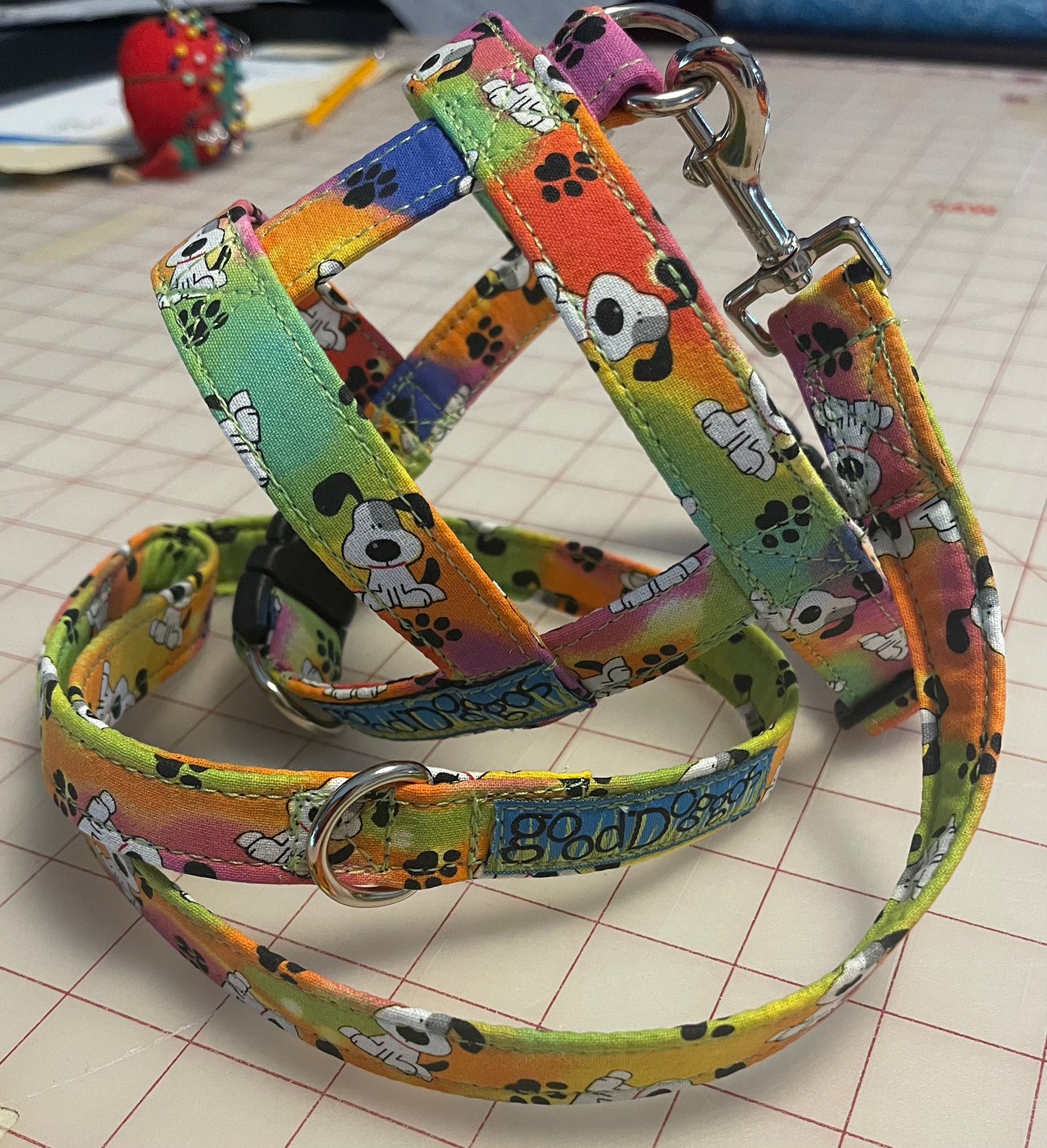 Mary's harness and shorty leash