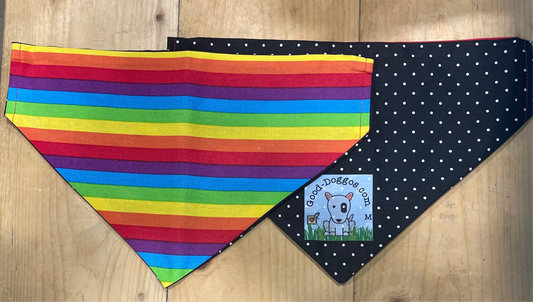 Rainbow Bandana