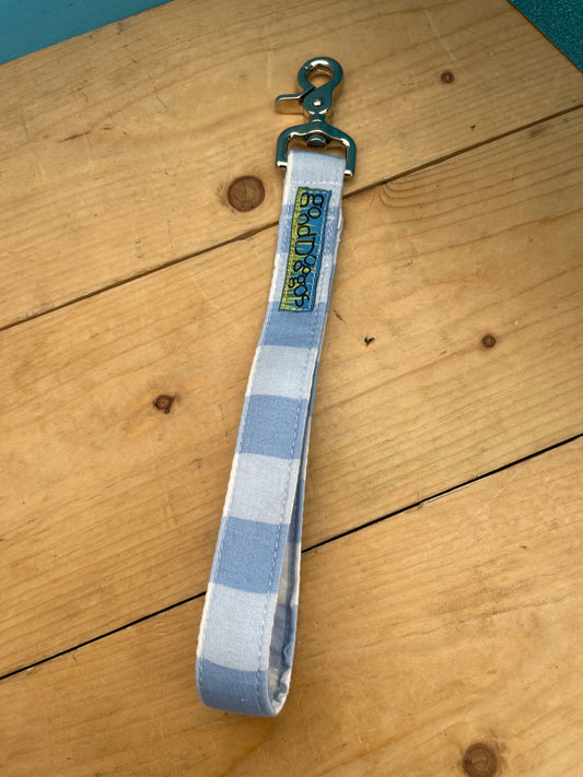 Light Blue Checks Training Lead