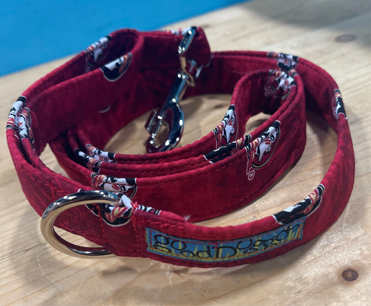 Seminoles Leash