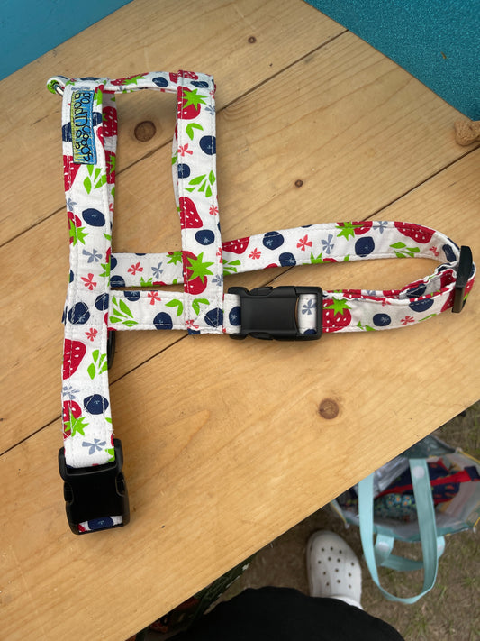 Berry Fresh Harness