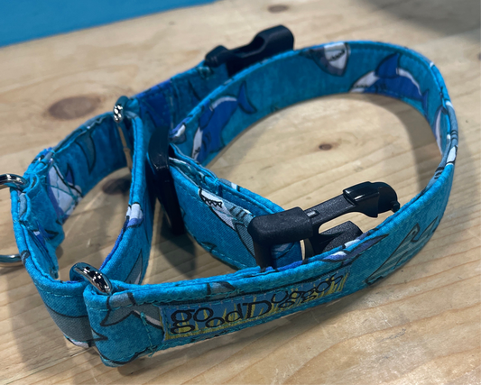 Sharks Martingale Collar