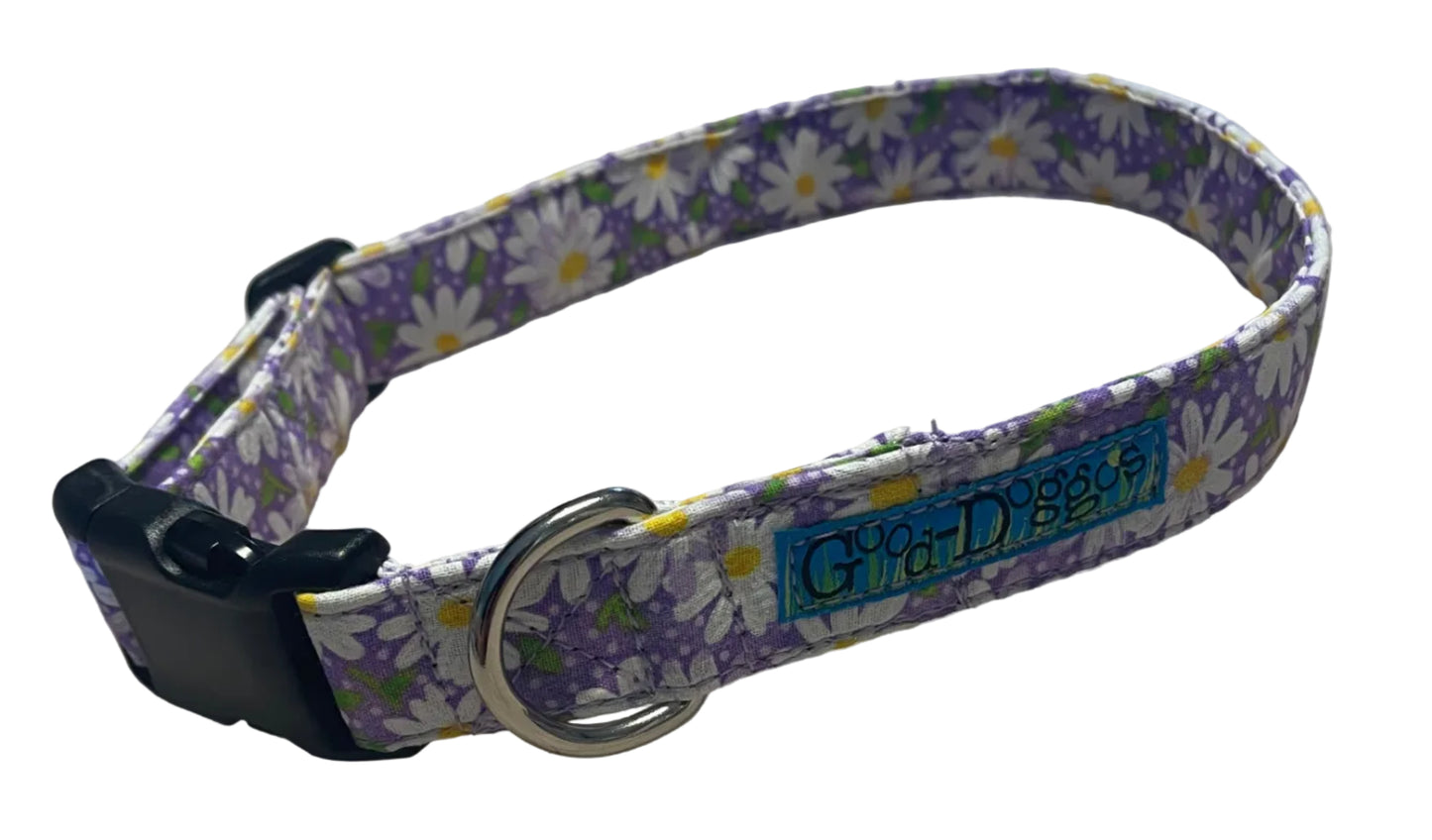 Purple Daisies Collar