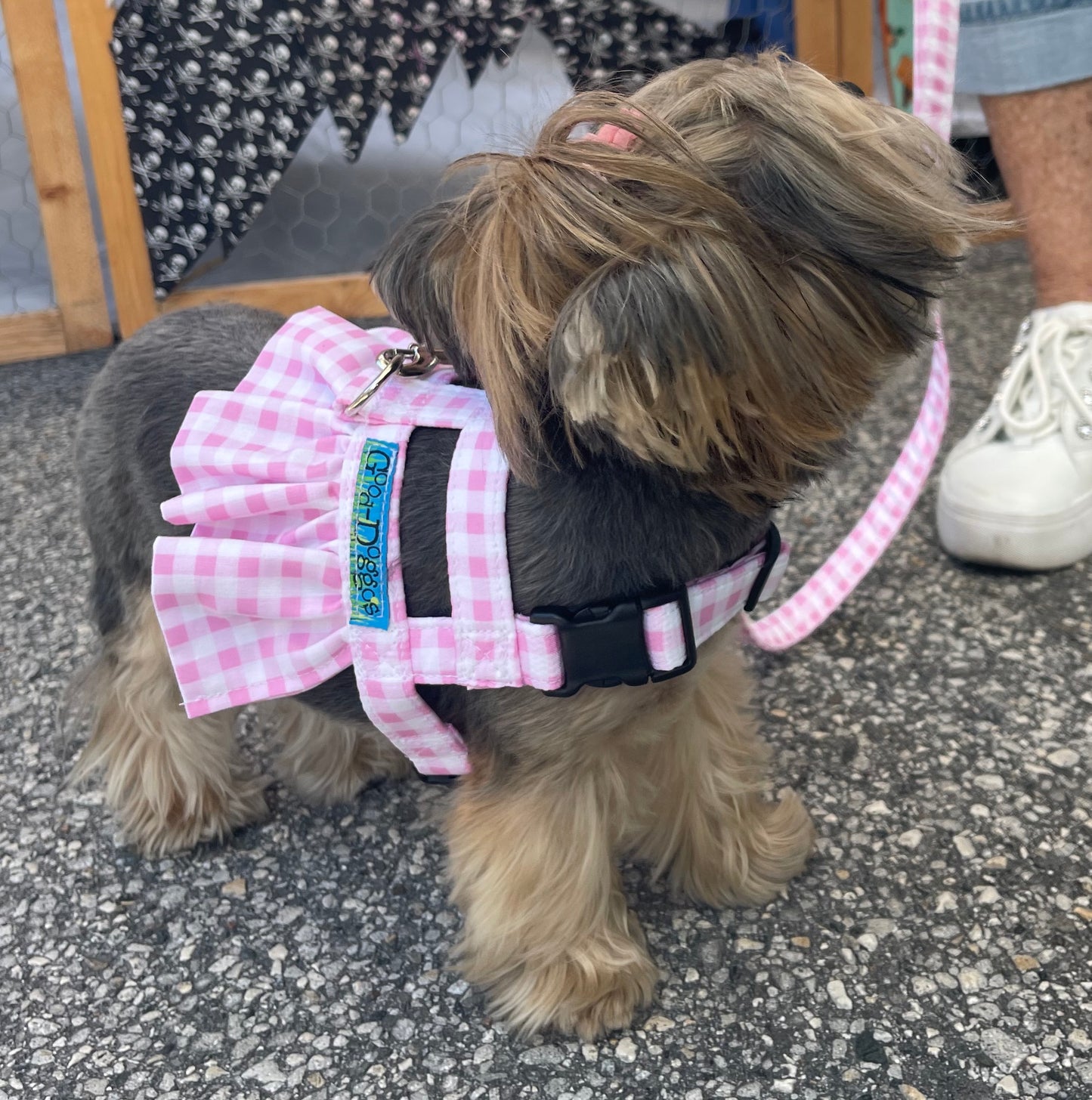 Pink Gingham Harness