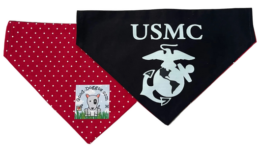 MARINES USMC with EGA