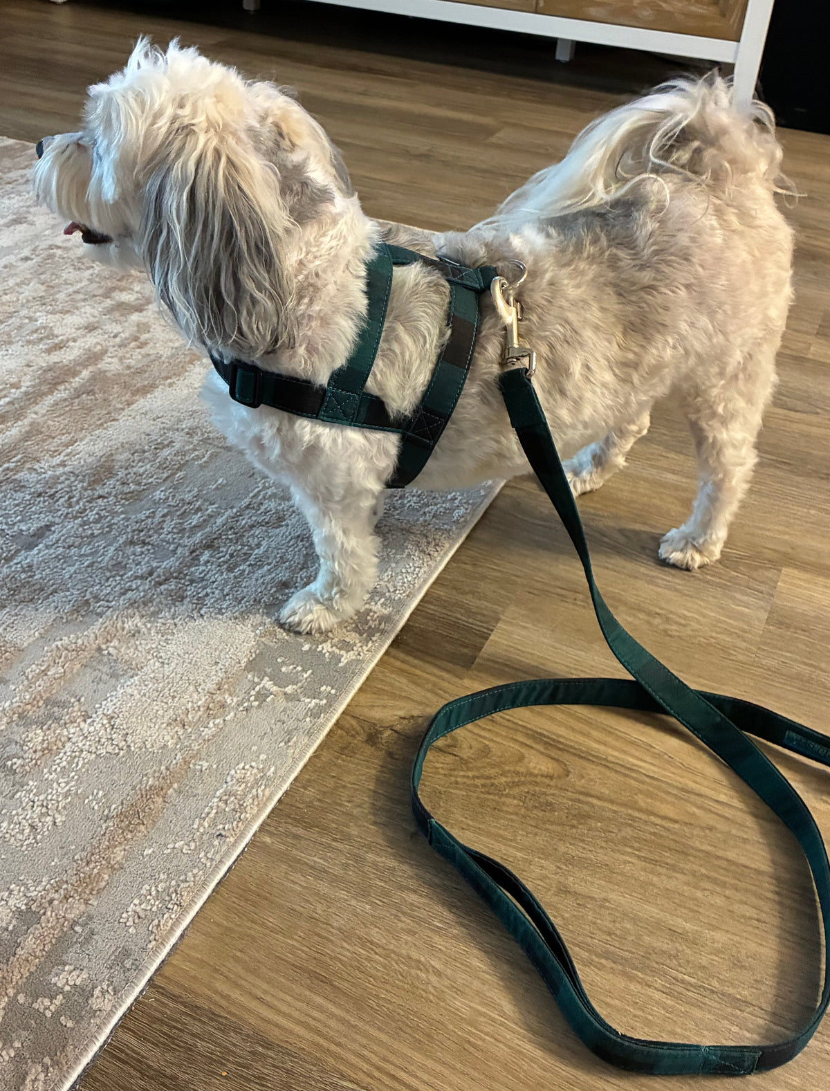 Buffalo Plaid Green Harness