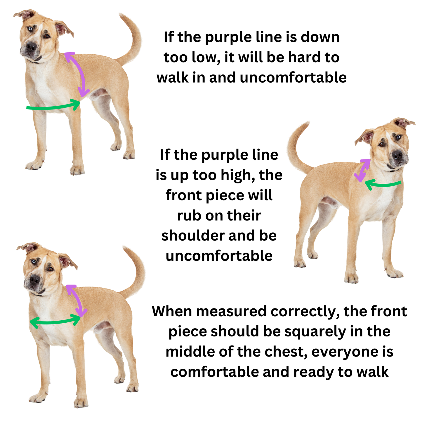 Spaceman Harness