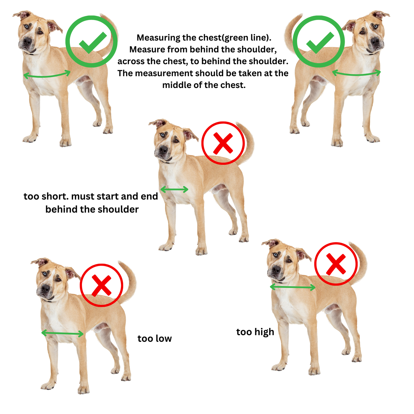 Spaceman Harness